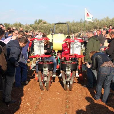 Sadilica Spapperi NOĆNJAK 2016. Brač