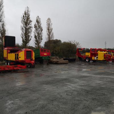 Photo 2023 11 06 16 29 58